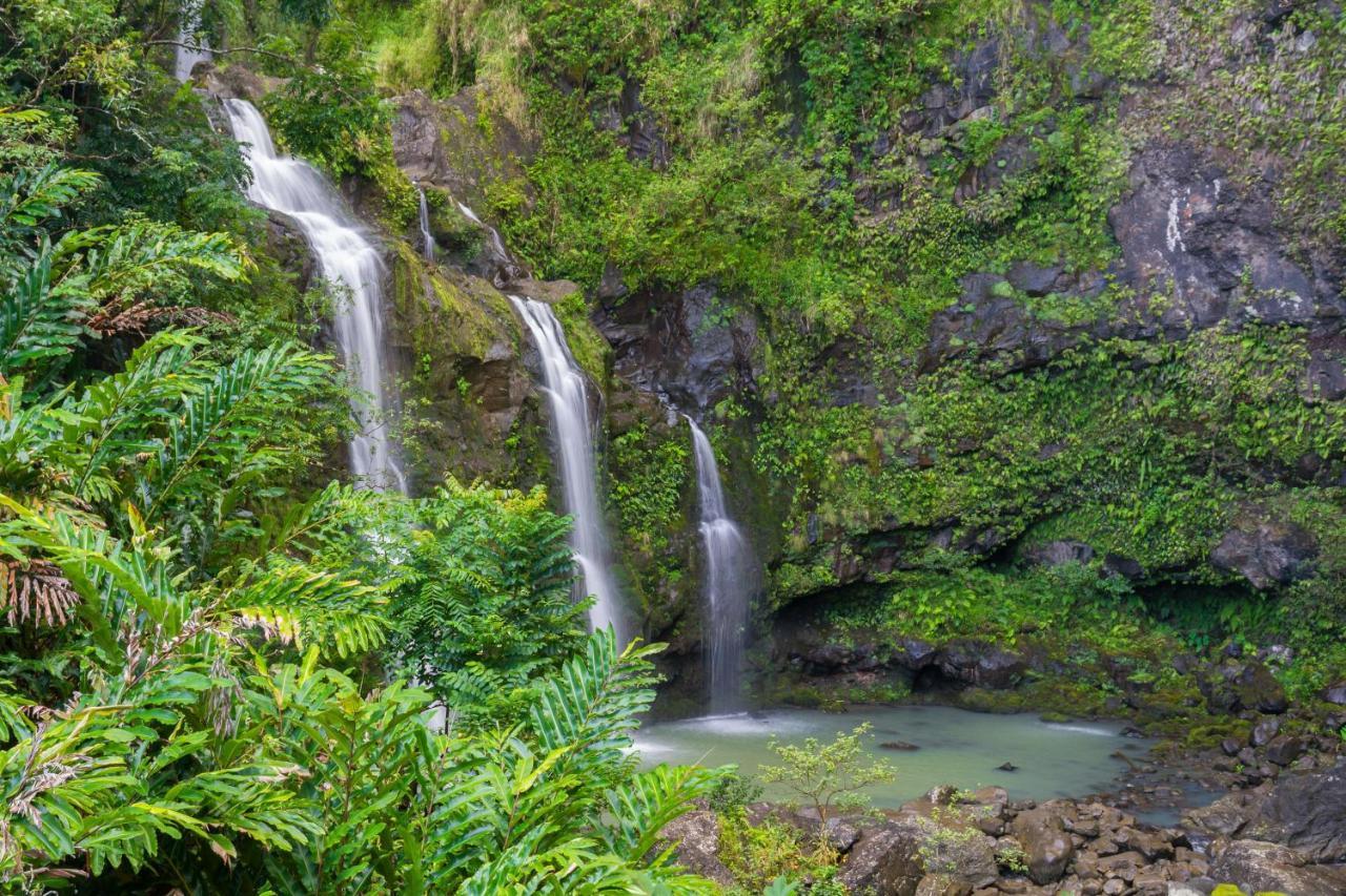 Kaleialoha 213 Villa Lahaina Bagian luar foto